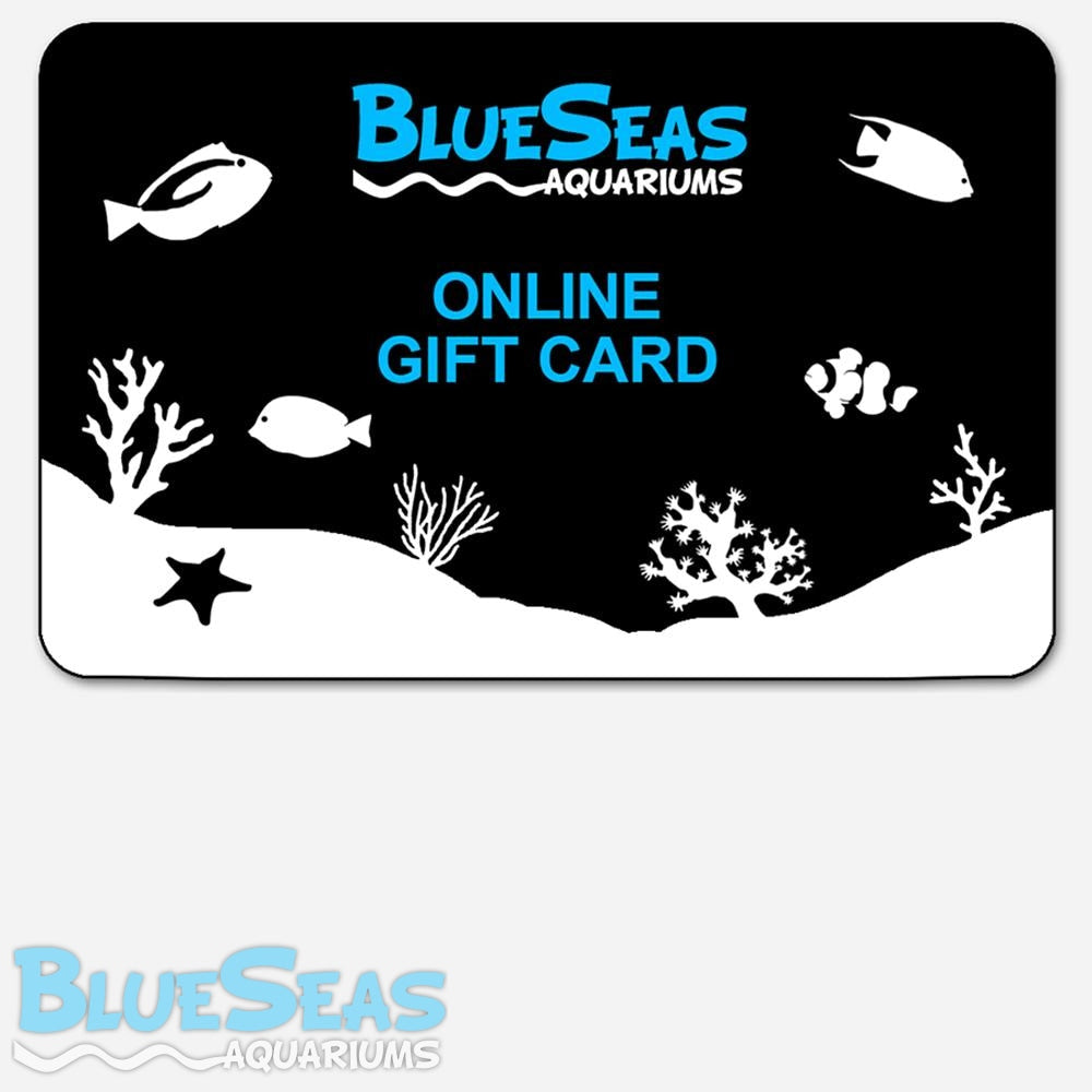 Blue Seas Aquariums Online Gift Card