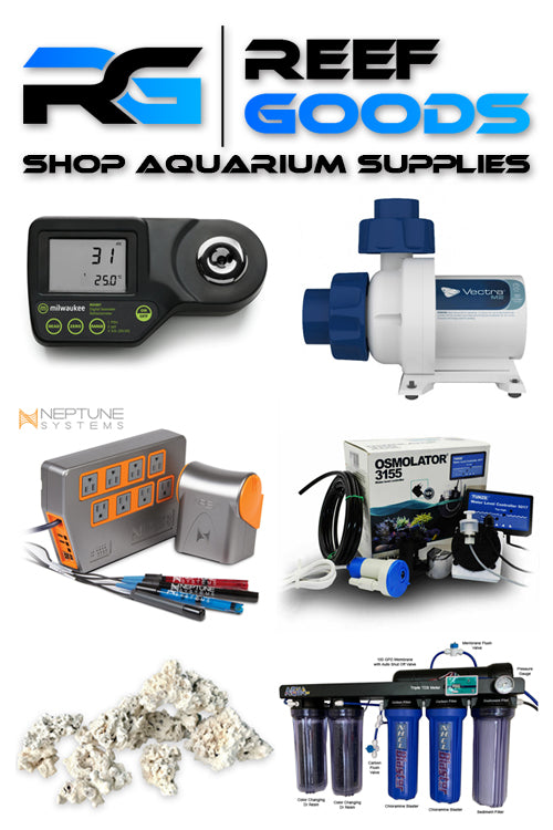 SaltwaterAquarium - Aquarium Supplies